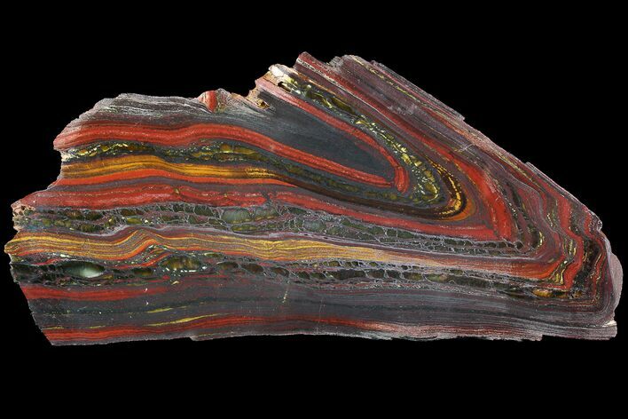 Polished Tiger Iron Stromatolite - ( Billion Years) #92826